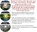 Book The Ultimate Make An Extra Income, Success Principles and Accounting & Finance for LED Flashlights Web Businesses 3 CD Power Pack