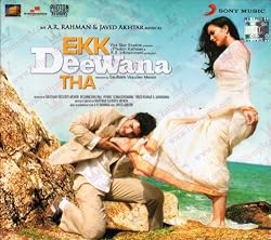 Ek Deewana Tha (2012) (Hindi Movie / Bollywood Film / Indian Cinema DVD)