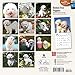 Bichon Frise Puppies 2015 Calendar