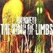 King of Limbs