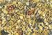 Crazy Corn Cooked Bird Food Polly Pasta 1 Lbs.