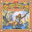 Celtic Book of Days
