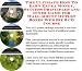 Search : The Fantastic Make An Extra Income, Marketing and Inner Game for Wall-mount Outlet Boxes Web Businesses 3 CD Power Pack