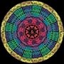 Consciousness