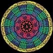 Consciousness