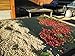 2 Pounds Unroasted Coffee Beans, Premium Select from RhoadsRoast Coffees (Ethiopian Yirgacheffe Washed Grade 1 Coffee Beans, 2 Pounds Unroasted Green Beans)