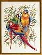 Eva Rosenstand Tropical Parrots 12-292 Cross Stitch Kit