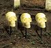Skull Pathway Lights