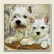 AbsorbaStone Coaster set~ West Highland Terrier ~4 Tile Drink Coasters ~ code...
