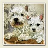 AbsorbaStone Coaster set~ West Highland Terrier ~4 Tile Drink Coasters ~ code...
