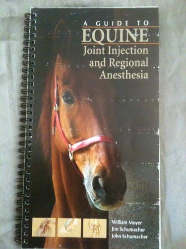 A Guide to Equine Joint Injection and Regional Anesthesia