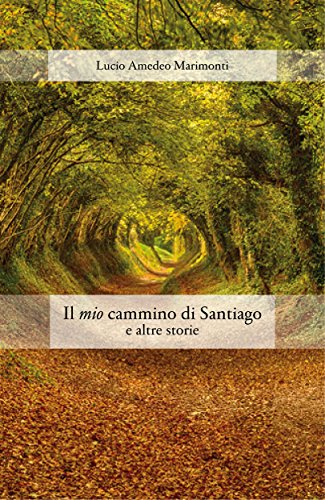 Il mio cammino di santiago e altre storie (Italian Edition)