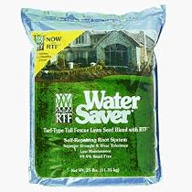 Barenbrug USA 11625 Water Saver Grass Seed