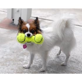 KONG Air Dog Squeaker Dumbbell Dog Toy