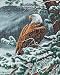 Dimensions Counted Cross Stitch, Eagles Eye View