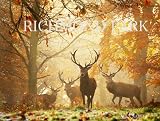 Richmond Park