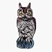 Dalen Prod. OW-6 Great Horned Owl