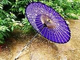 和傘/番傘紙傘.薄鬼桜,銀魂神楽コスプレにも/花吹雪.紫 傘
