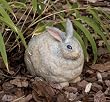 Evergreen 84975 Garden Portly, Rabbit, 10.5-Inches x 8.5-Inches