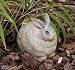 Evergreen 84975 Garden Portly, Rabbit, 10.5-Inches x 8.5-Inches