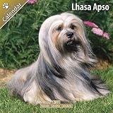 \"Lhasa