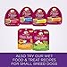 Wellness Complete Health Small Breed Dry Dog Food with Grains, Natural Ingredients, Made in USA with Real Turkey, For Dogs Up to 25 lbs (Adult, Healthy Weight Turkey & Rice, 4-Pound Bag)
