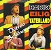 Detlev Sch�nauer �Radio Eilig Vaterland�