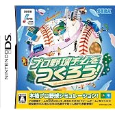 プロ野球チームをつくろう!
