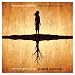 Laurence Jalbert - Tout Porte a Croire