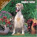 English Setter 2008 Wall Calendar