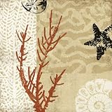 Coral Impressions I by Tandi Venter,5 in. x 5 in.