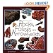 Rocks, Fossils and Arrowheads (Take-Along Guides)