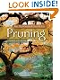 An Illustrated Guide to Pruning