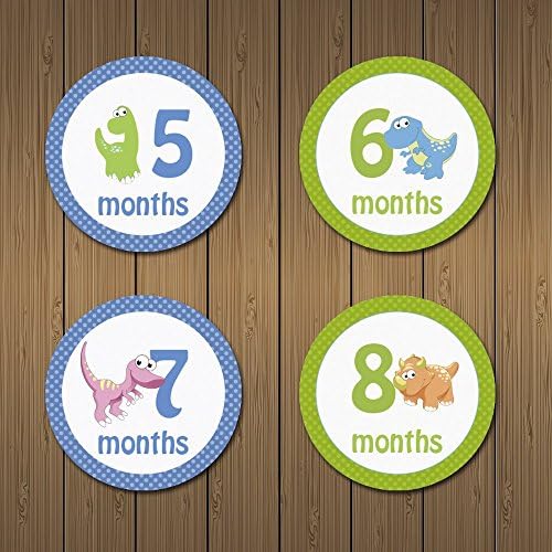 MyLilSprouts Dinosaurs Monthly Baby Boy & Girl Newborn MileStone Round Easy Peel Stickers 1 - 12 Months Set - Baby Shower Gift (Style 13)