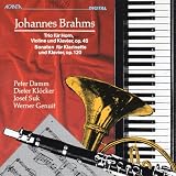 Johannes Brahms - Horntrio op. 40, Klarinettensonaten, op. 120