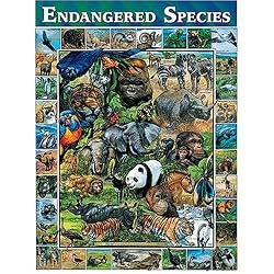White Mountain Puzzles Endangered Species 1000 Piece Jigsaw Puzzle