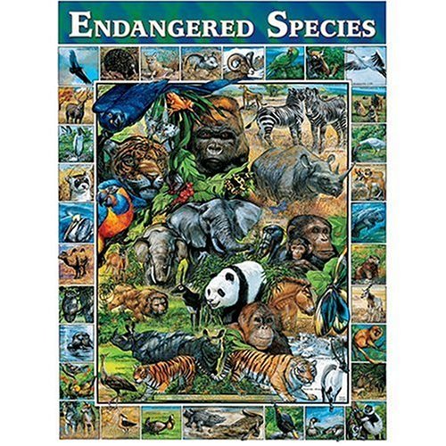 61f8p1VypDL White Mountain Puzzles Endangered Species 1000 Piece Jigsaw Puzzle
