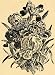 1894 Print German Iris Flowers Flag Lily Fleur de Luce - Original Halftone Print