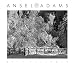 Ansel Adams 2011 Engagement Calendar