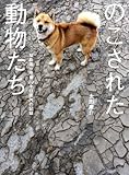 書評 のこされた動物たち　福島第一原発20キロ圏内の記録 by 有坂汀