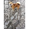 のこされた動物たち<br>太田 康介著　 <br>1365円<br>ISBN:9784864101028　