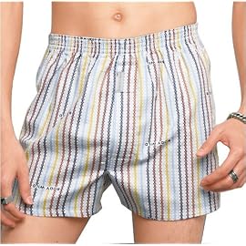 グンゼ BODY WILD TRUNKS クルーザーパンツ（トランクス） マルチストライプ BW9066AA