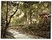 Promenade, Wildbad, Black Forest, Baden, Germany wall sized print (photochrom) photochrome measured in inches 8x10