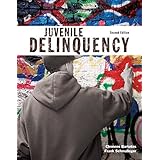 juvenile delinquency 2nd edition the justice series