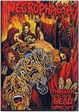 Through the Eyes of the Undead