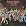 Orchestra Harlow La Raza Latina: A Salsa Suite