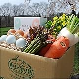 東北牧場 有機野菜8種と卵のお試しセット