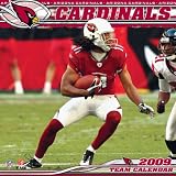 Arizona Cardinals 2009 12 x 12 Team Wall Calendar