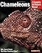Chameleons: Everything About Purchase, Care, Nutrition, And Breeding (Complete Pet Owner's Manual)