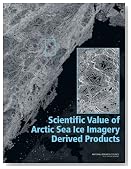 Scientific Value of Arctic Sea Ice Imagery Derived Products